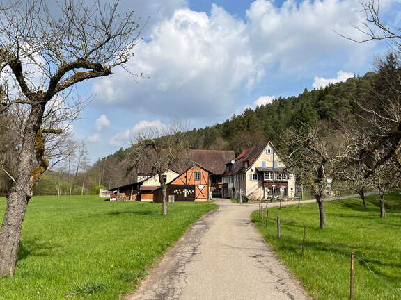 22-04-15 11-18-39 0479